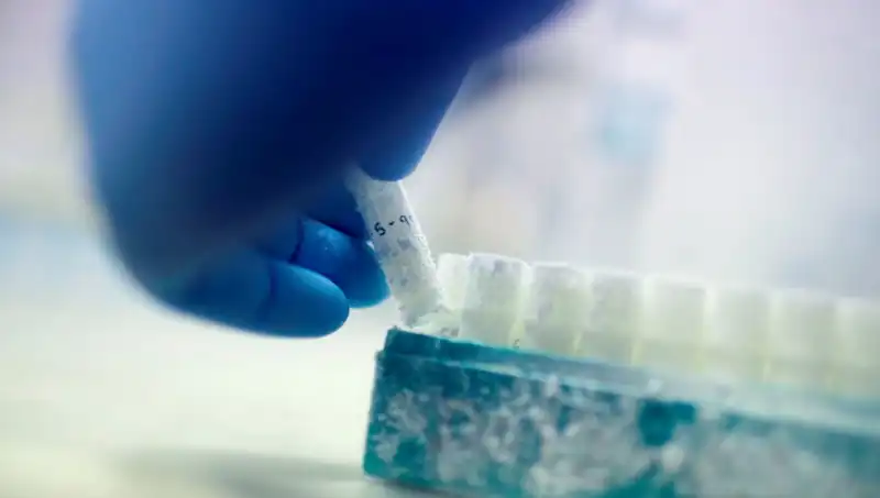 Sperm Donörlüğünde Skandal: 85 Donör, Binlerce Çocuğun Babası Oldu!