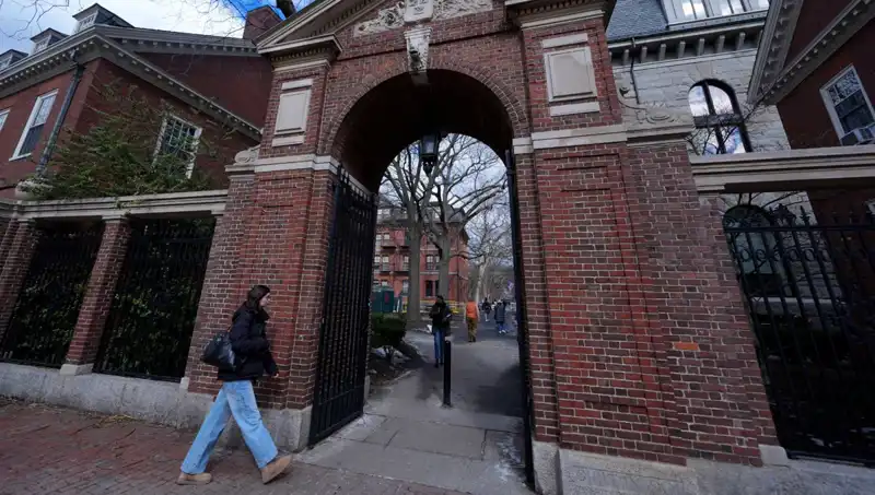 Harvard Profesörlerinden Trump Yönetimine Şaşırtıcı Dava İddiası