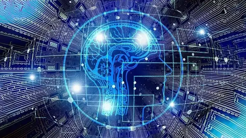 Kripto Para Dolandırıcılığında Yeni Tehdit: Bot Sürüleri Ortaya Çıktı