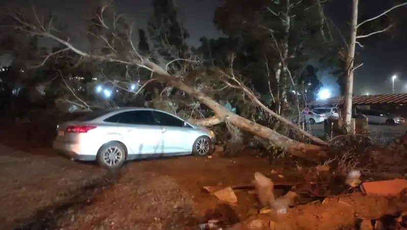 Hatay'da Fırtına Sebebiyle Tekne ve Ağaçlar Yok Olma Tehlikesiyle Karşılaştı