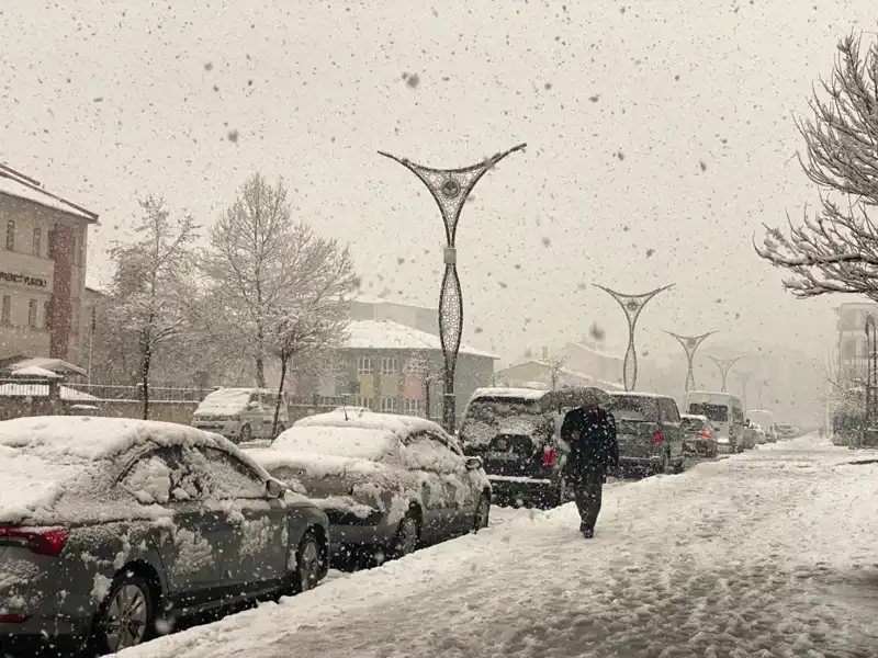 Kuvvetli Yağışlar Gelen Felaketleri Beraber Getiriyor: Heyelan ve Çığ Tehlikesi!
