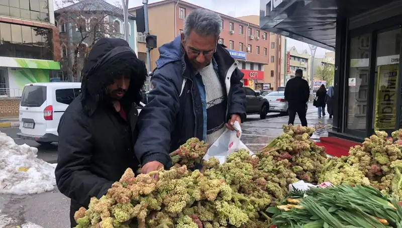 Kendiliğinden Yetişen Vitamin Deposuyla Sağlığınızı Koruyun