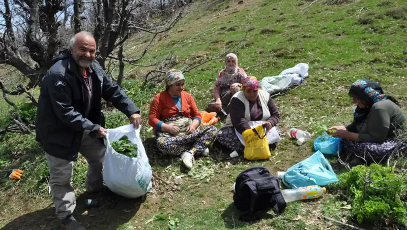 Yürüyerek Kilosu 250 Liraya Toplanan Hazinenin Peşinde: Yüzlerce Aile Geçimini Sağlıyor