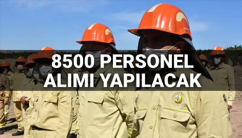 2025 Tarım ve Orman Bakanlığı'ndan 8500 Yeni Personel Alımı Müracaatları Başlıyor!