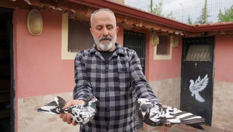 42 Yıllık Hobi, Profesyonel Bir Tesise Dönüştü: İl Dışından Gelen Yoğun Talep!