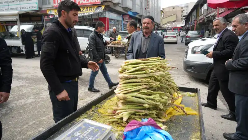 Dağlık Alandan Toplanan Şeker: Sağlık ve Şifa Kaynağı mı?