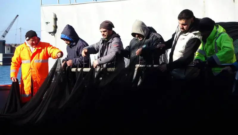 Hamsi Dönemi Sona Erdi: Denizlerdeki Kayıp Stoklar Balıkçıları Zor Durumda Bıraktı