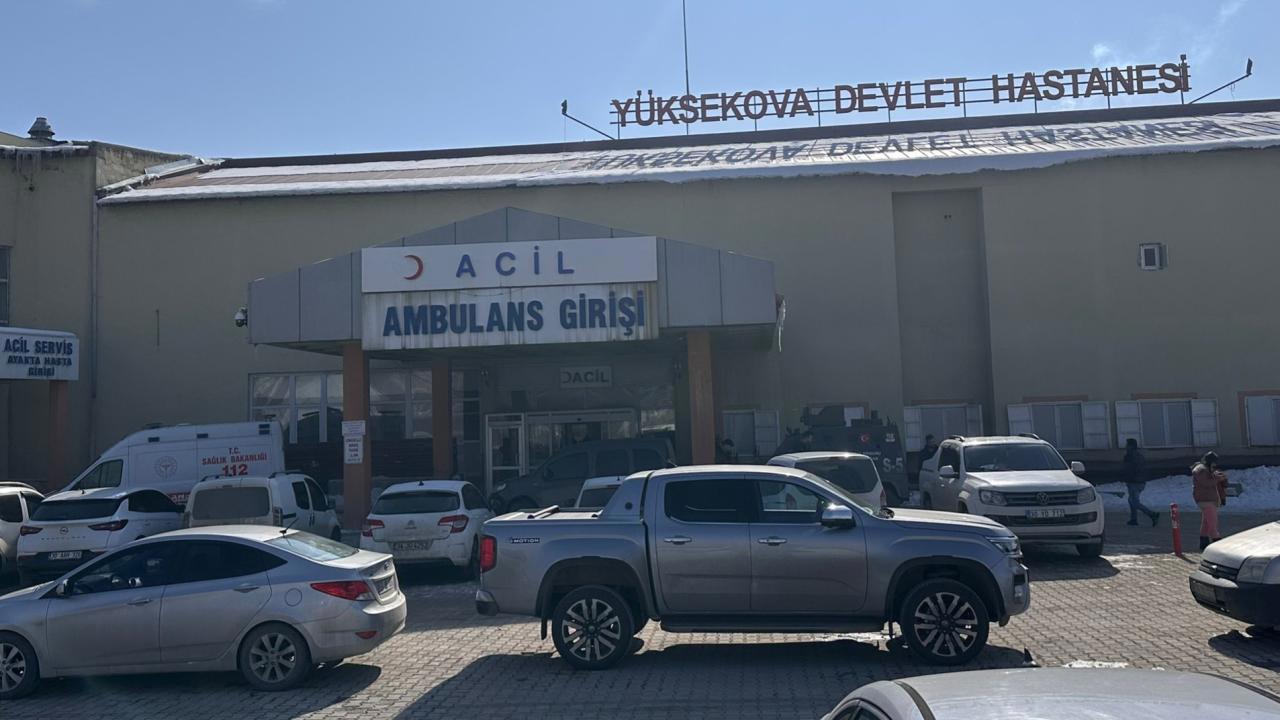 Başıboş Köpek Saldırısında Ölen Çocuk Olayı