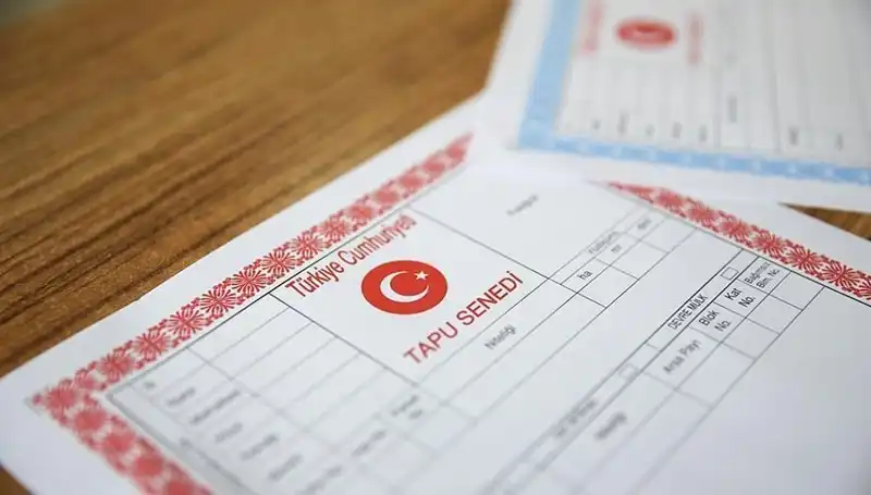 100 Milyonluk Hisseli Tapu Dolandırıcılığı: Tuzağa Düşmemek İçin Dikkat Edin