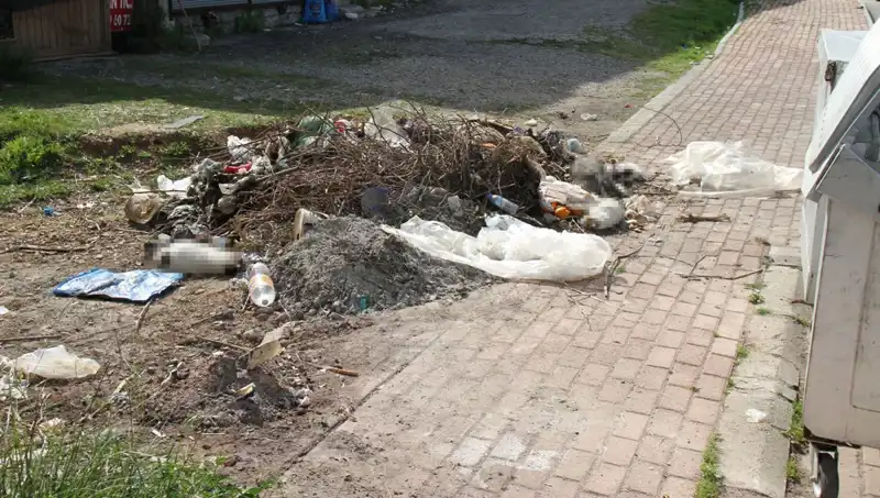 Antalya'da Korkunç Vahşet: 10 Kedi Ölü Bulundu, Yetkililer İnceleme Başlattı