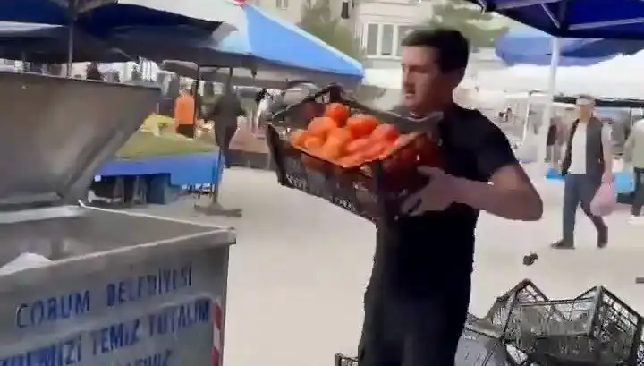 Domatesleri Çöpe Döken Pazarcıya Kesilen Büyük Cezanın Ardındaki Sebepler