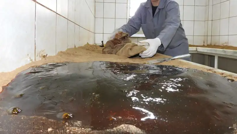 485 Yıldır Devam Eden Eşsiz Geleneğin Ayrıntıları