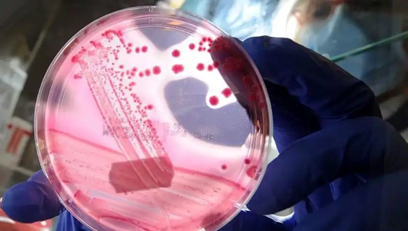 Yaşlanmayı Unutturan AP2A1 Proteini: Bilim Dünyasında Çığır Açan Keşif