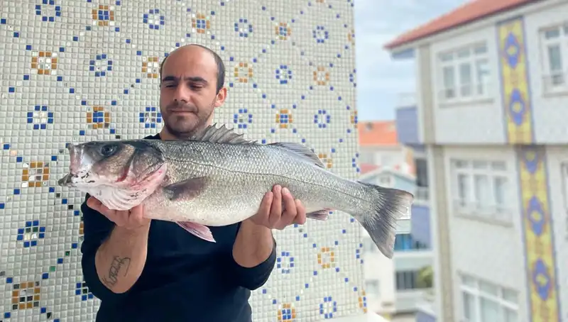7,5 Kiloluk Levrek Avı: Balıkçıların Yaşadığı Şaşırtıcı Anlar