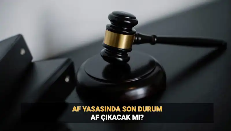 2025'te Af Yasası Üzerine Beklentiler ve Olası Düzenlemeler