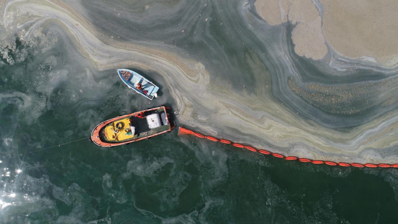 Marmara Denizinde Müsilaj Sorunu Devam Ediyor
