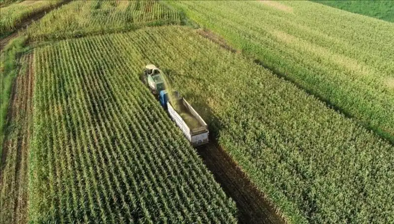 2025 Mazot ve Gübre Desteği Ödemeleri: Son Durum ve Tarihler