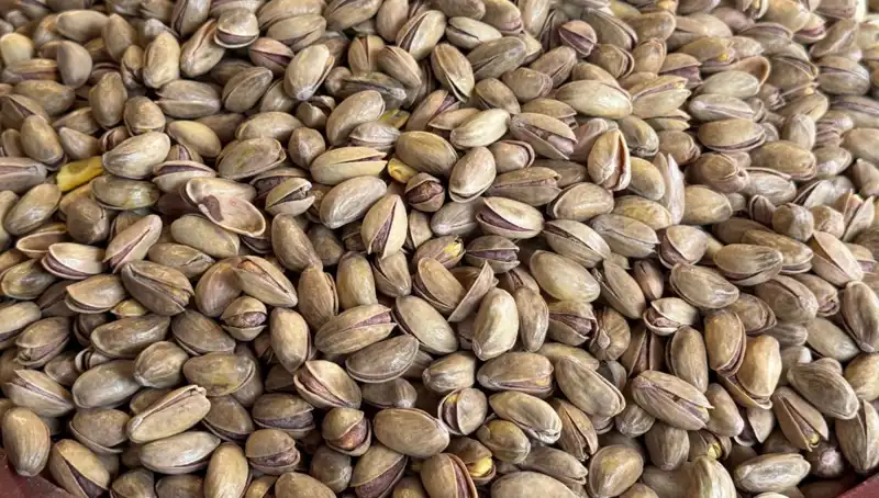 Yılın İlk Çeyreğinde Fıstık İhracatında 59,7 Milyon Dolar Rekoru!