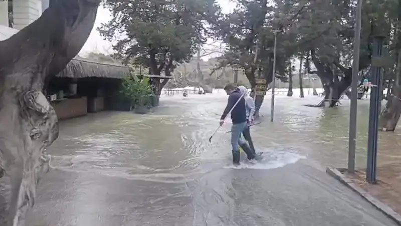 Manavgat Irmağı'nda Yaşanan Sel Felaketi: İşletmeler Su Altında Kaldı