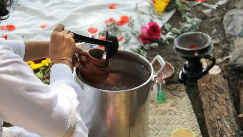 Ayahuasca: Şifa Veren Bir Çay mı, Yoksa Yasaklı Bir İlaç mı?