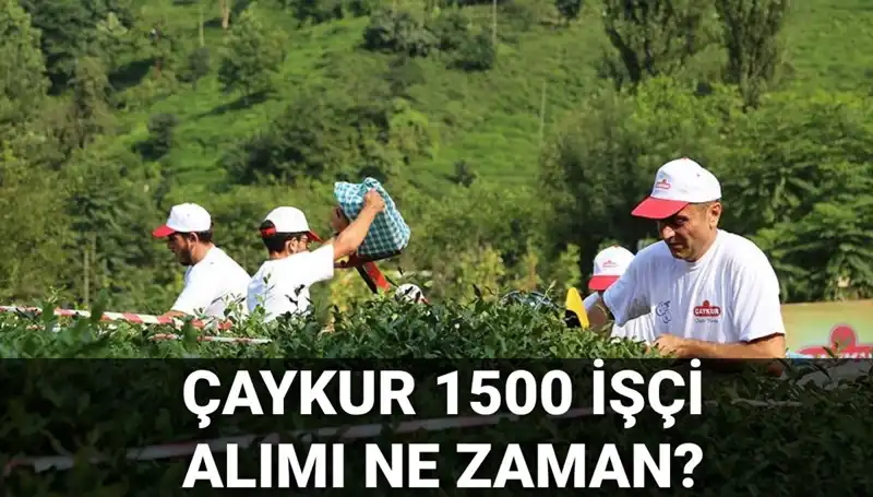 Çaykur İşçi Alımı Başvuru Tarihleri Açıklandı: Detaylar Burada!